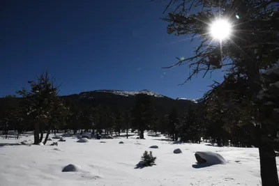 DSC_4905 (Large).JPG